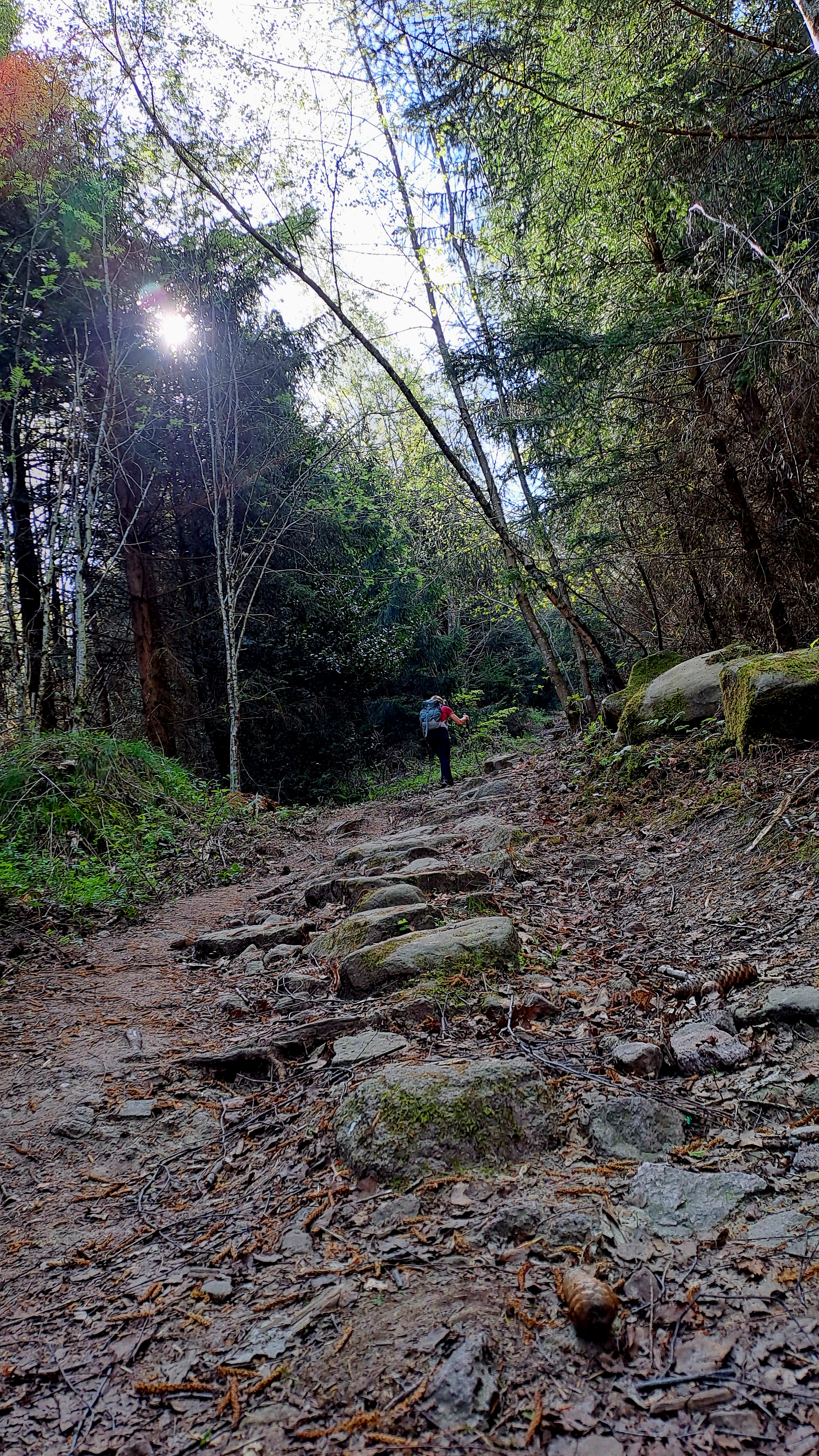 volker hiking2